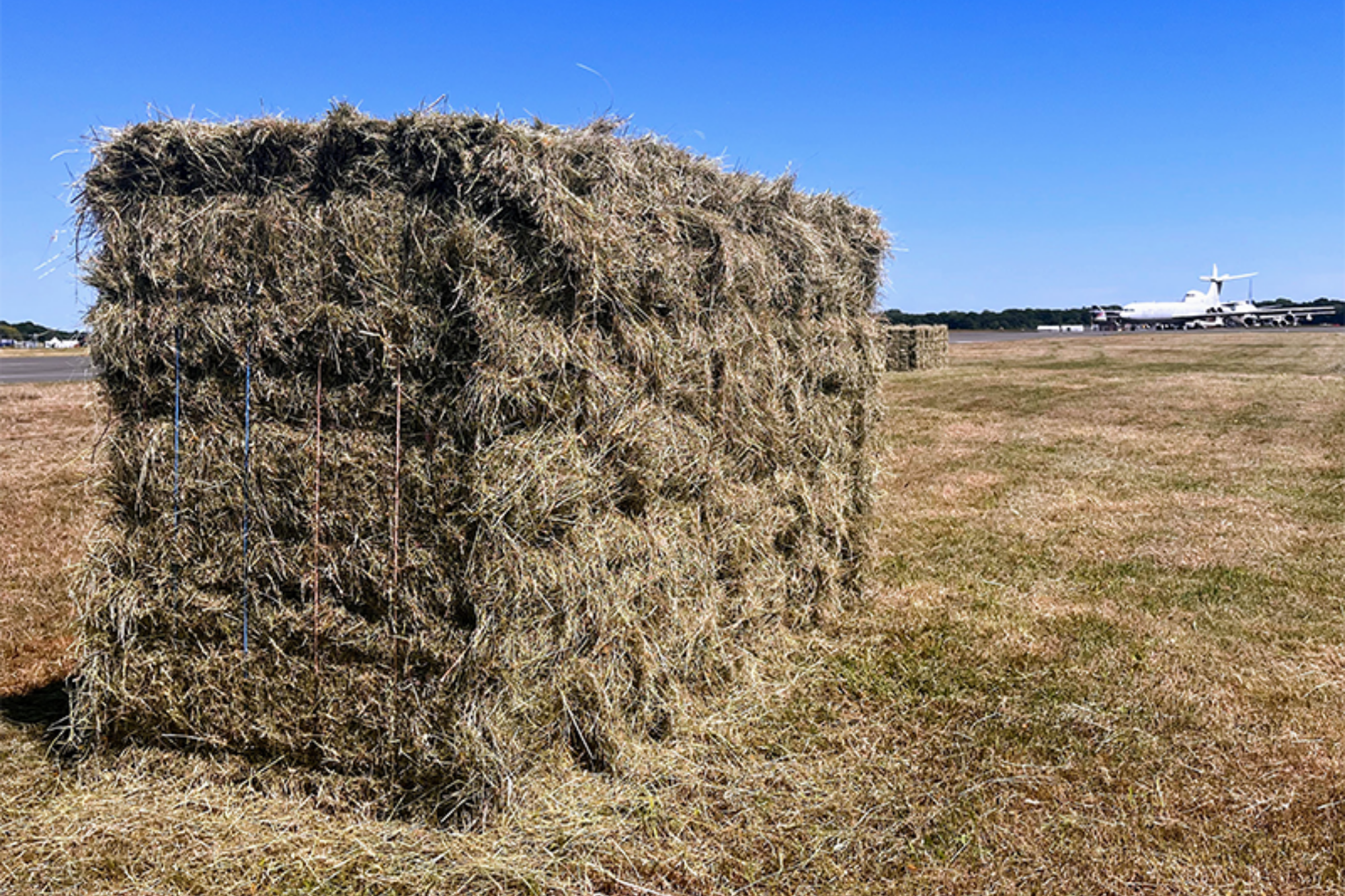 Meadow Hay